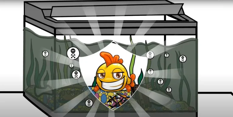 Aquarium-maintenance-products-whiteboard-video